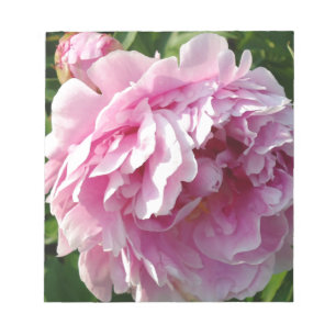 Rosa Peony blommigt av stuggårdar Anteckningsblock