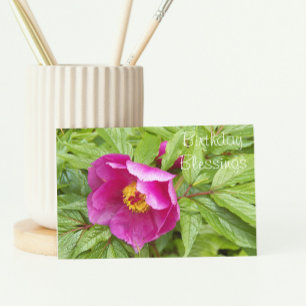 Rosa Peony Blommigt Religiösa Birthday Kort