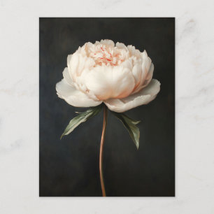 Rosa Peony Botanical Painting Vykort