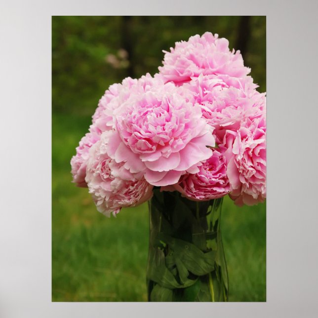 Rosa Peony Bouquet Poster (Framsidan)