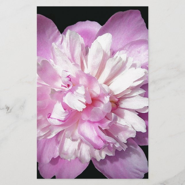 Rosa Peony Brevpapper (Framsida)