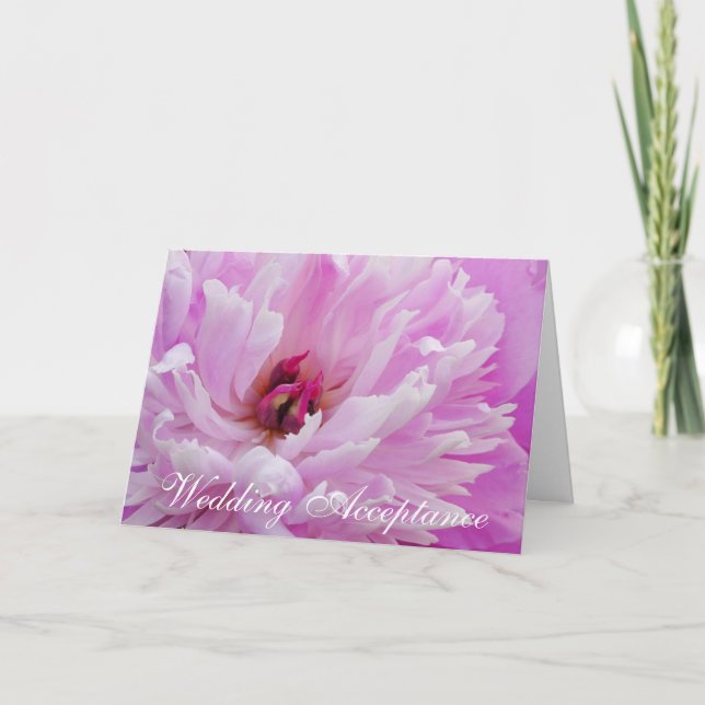 Rosa Peony Bröllop Acceptance Card Kort (Framsida)