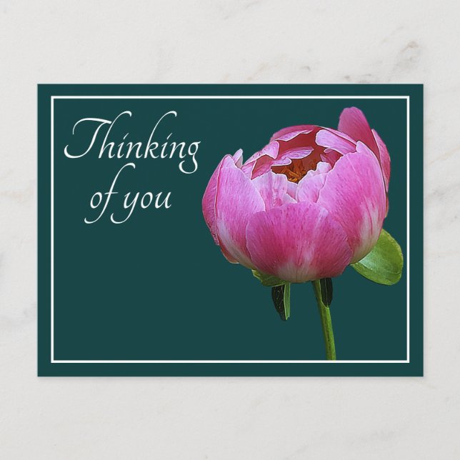 Rosa Peony Cyan Bakgrund Tänker På Dig Vykort (Framsida)