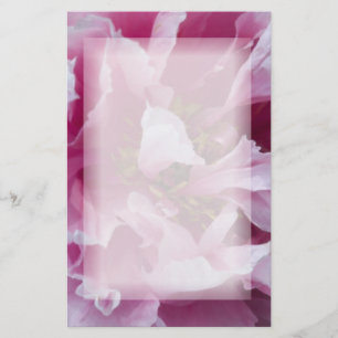 Rosa Peony Flower Brevpapper