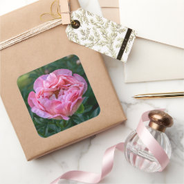Rosa Peony Flower, Canadian Photography Fyrkantigt Klistermärke