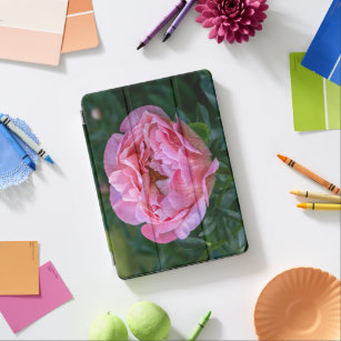 Rosa Peony Flower, naturfotografi iPad Air Skydd