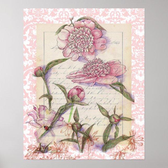 Rosa Peony Flower Pen och Bläck Art Collage Teckni Poster (Framsidan)