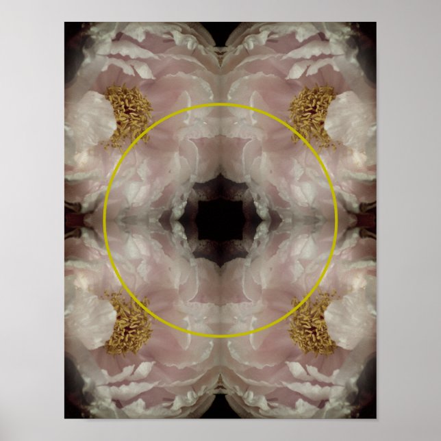 Rosa Peony Flower Ram Skapar ditt eget foto Poster (Framsidan)