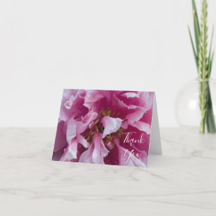 Rosa Peony Flower Tack Kort