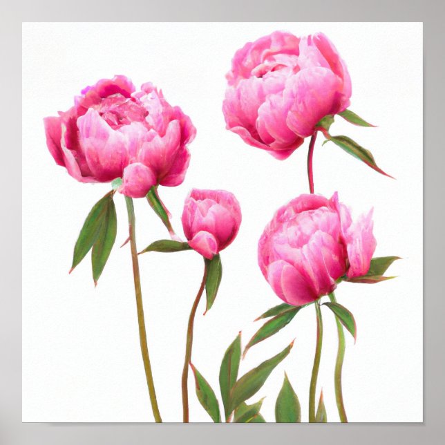 Rosa Peony Flowers Art Print Poster (Framsidan)