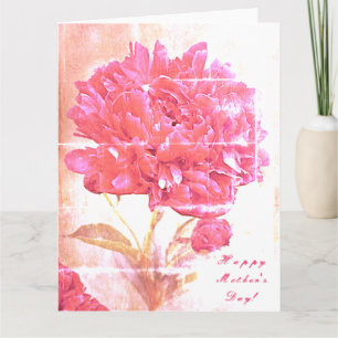 Rosa Peony Flowers Mors dag Big Kort