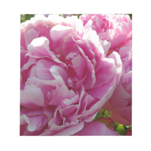 Rosa Peony-fotostuga lantgårdsträdgård blommigt tr Anteckningsblock