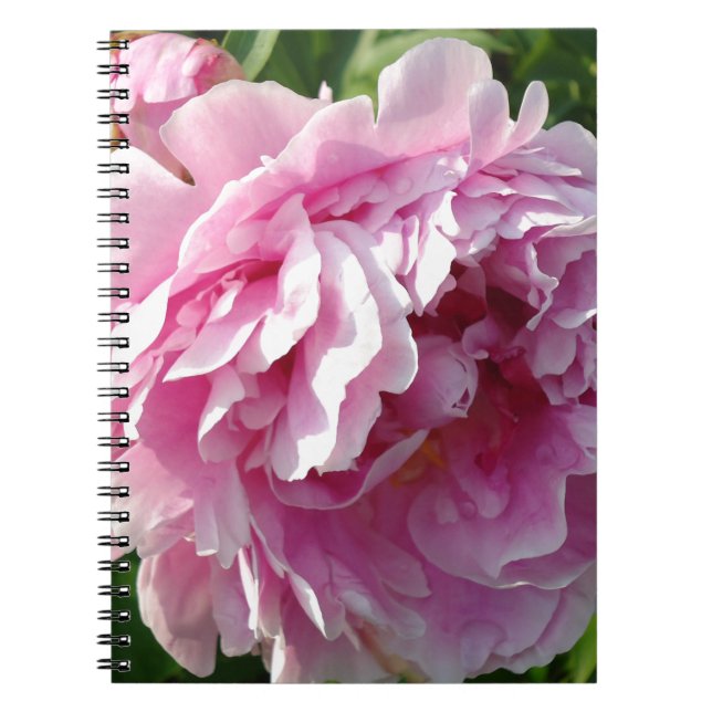 Rosa Peony-fotostuga lantgårdsträdgård blommigt tr Anteckningsbok Med Spiral (Framsidan)