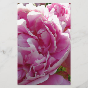 Rosa Peony-fotostuga lantgårdsträdgård blommigt tr Brevpapper