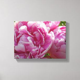 Rosa Peony-fotostuga lantgårdsträdgård blommigt tr Canvastryck