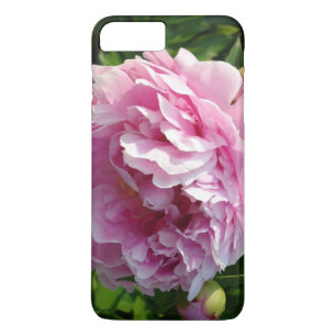 Rosa Peony-fotostuga lantgårdsträdgård blommigt tr