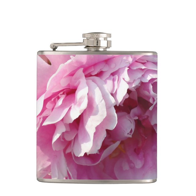 Rosa Peony-fotostuga lantgårdsträdgård blommigt tr Fickplunta (Framsidan)