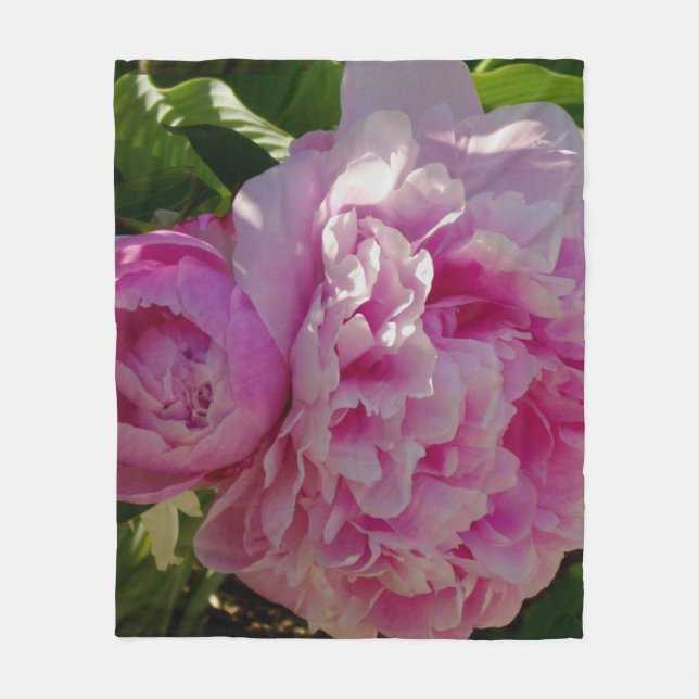 Rosa Peony-fotostuga lantgårdsträdgård blommigt tr Fleecefilt (Framsidan)