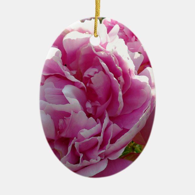Rosa Peony-fotostuga lantgårdsträdgård blommigt tr Julgransprydnad Keramik (Framsidan)
