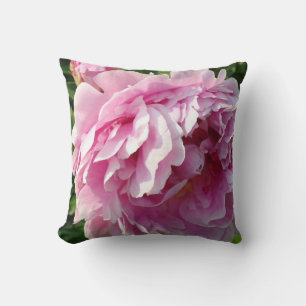 Rosa Peony-fotostuga lantgårdsträdgård blommigt tr Kudde