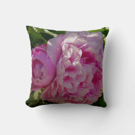 Rosa Peony-fotostuga lantgårdsträdgård blommigt tr Kudde