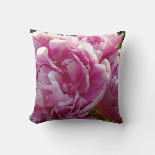 Rosa Peony-fotostuga lantgårdsträdgård blommigt tr Kudde