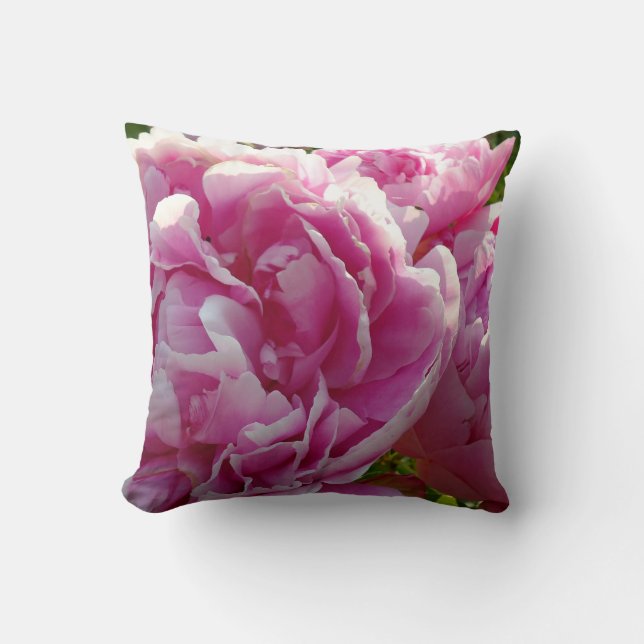 Rosa Peony-fotostuga lantgårdsträdgård blommigt tr Kudde (Framsida)