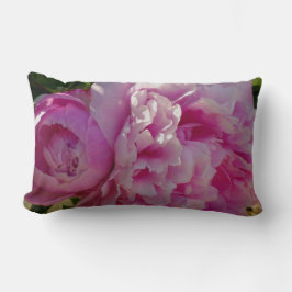 Rosa Peony-fotostuga lantgårdsträdgård blommigt tr Lumbarkudde