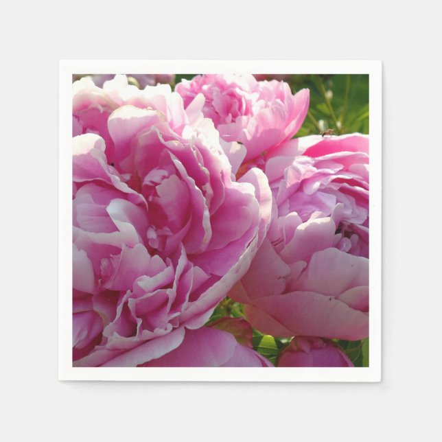 Rosa Peony-fotostuga lantgårdsträdgård blommigt tr Pappersservett (Framsidan)