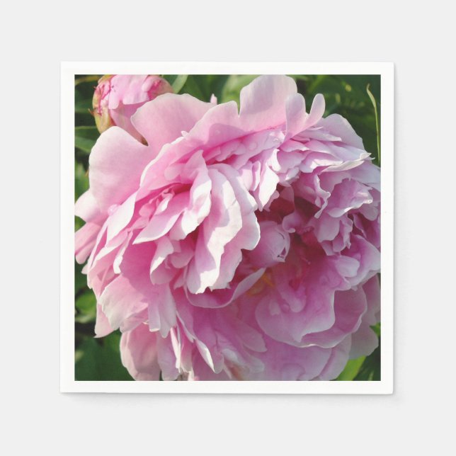 Rosa Peony-fotostuga lantgårdsträdgård blommigt tr Pappersservett (Framsidan)