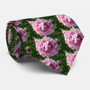 Rosa Peony-fotostuga lantgårdsträdgård blommigt tr Slips