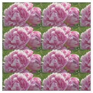 Rosa Peony-fotostuga lantgårdsträdgård blommigt tr Tyg