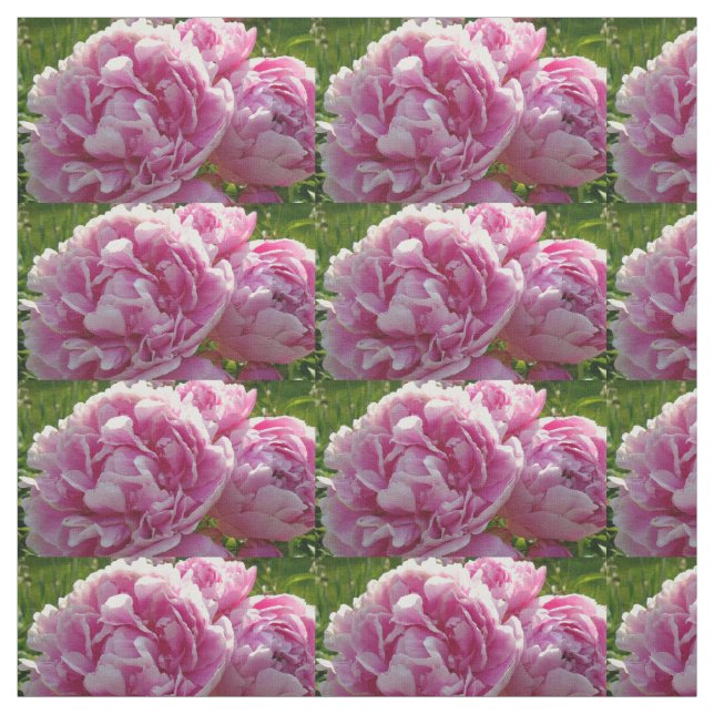 Rosa Peony-fotostuga lantgårdsträdgård blommigt tr Tyg (Provkarta)
