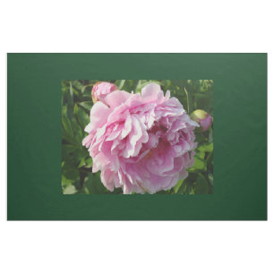 Rosa Peony-fotostuga lantgårdsträdgård blommigt tr Tyg