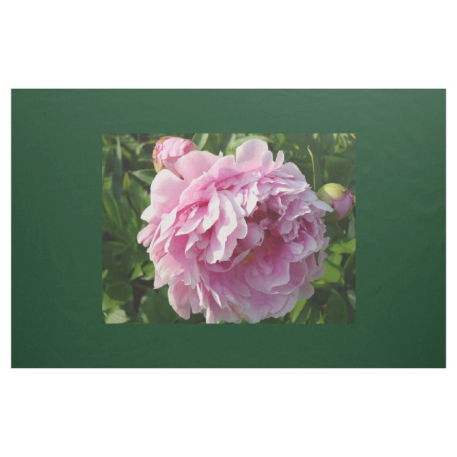Rosa Peony-fotostuga lantgårdsträdgård blommigt tr Tyg (Yard)