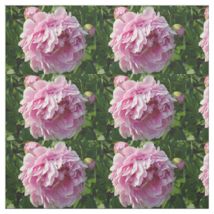 Rosa Peony-fotostuga lantgårdsträdgård blommigt tr Tyg