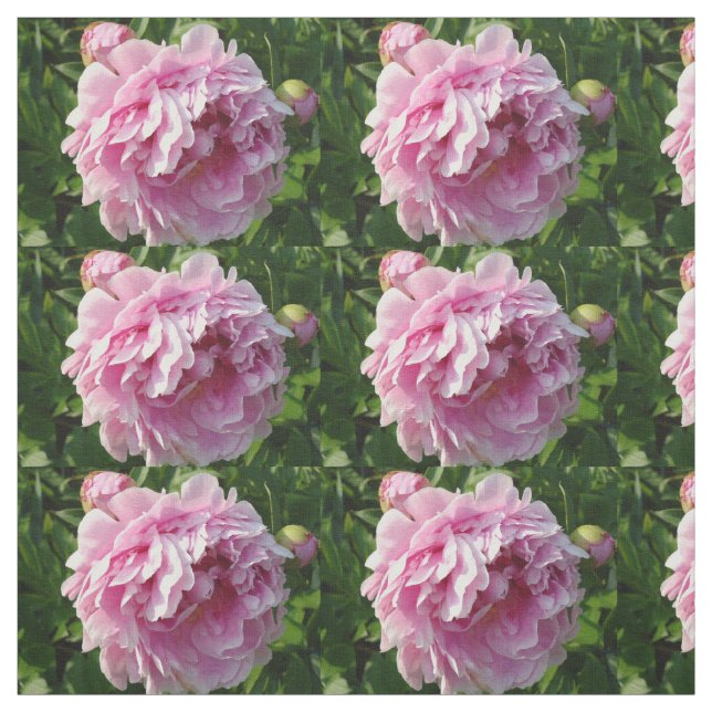 Rosa Peony-fotostuga lantgårdsträdgård blommigt tr Tyg (Provkarta)