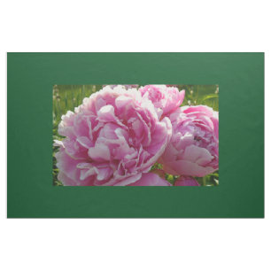 Rosa Peony-fotostuga lantgårdsträdgård blommigt tr Tyg