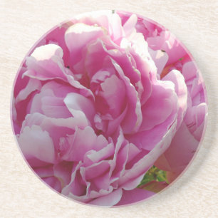 Rosa Peony-fotostuga lantgårdsträdgård blommigt tr Underlägg Sandsten