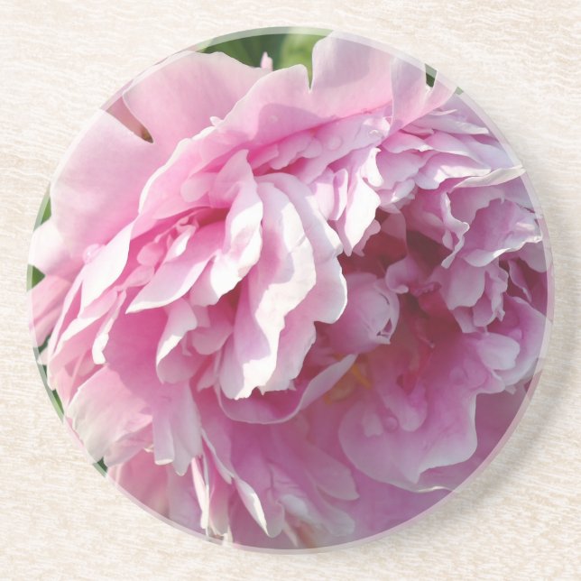Rosa Peony-fotostuga lantgårdsträdgård blommigt tr Underlägg Sandsten (Framsidan)
