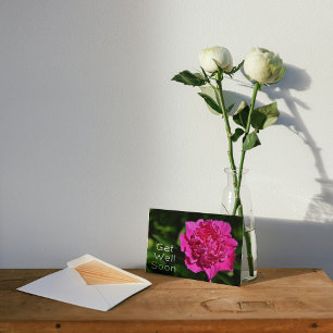 Rosa Peony Garden Flower får snart kort