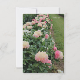 Rosa Peony Gräns Anteckningskort