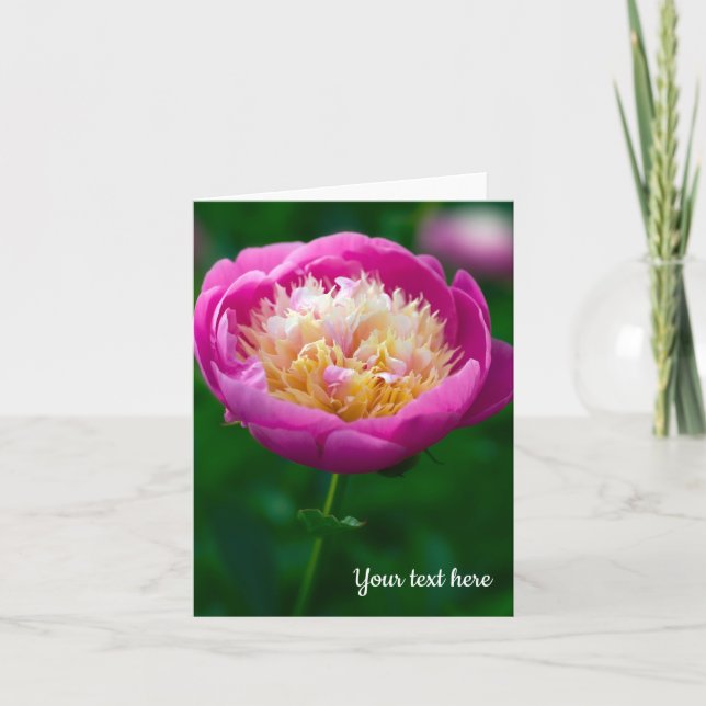 Rosa Peony Greeting-kort Tack Kort (Framsida)