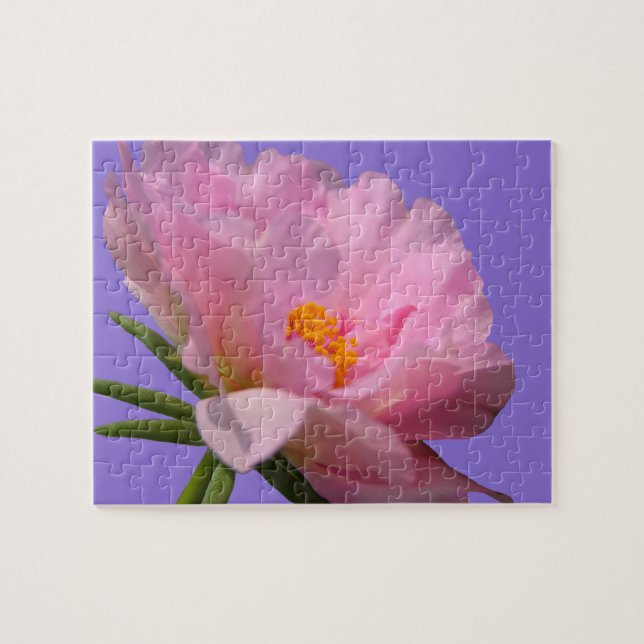 Rosa Peony Jigszle Puzzle Pussel (Horisontell)