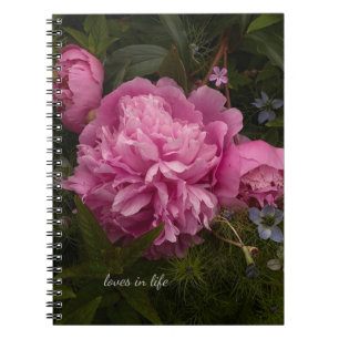 Rosa Peony & Kärlek-in-a-mist Anteckningsbok