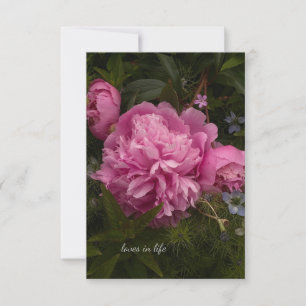 Rosa Peony & Kärlek-in-a-mist Anteckningskort