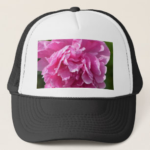 Rosa Peony Keps