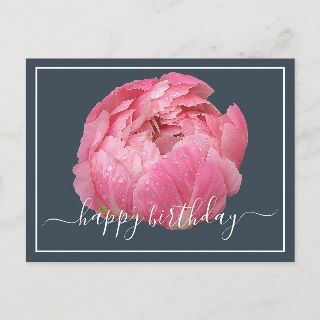 Rosa Peony Med Daggdroppar Grå Bakgrund Födelsedag Vykort (Framsida)