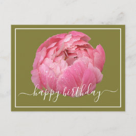 Rosa Peony Med Daggdroppar Grön Bakgrund Födelseda Vykort