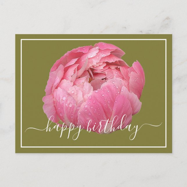 Rosa Peony Med Daggdroppar Grön Bakgrund Födelseda Vykort (Framsida)